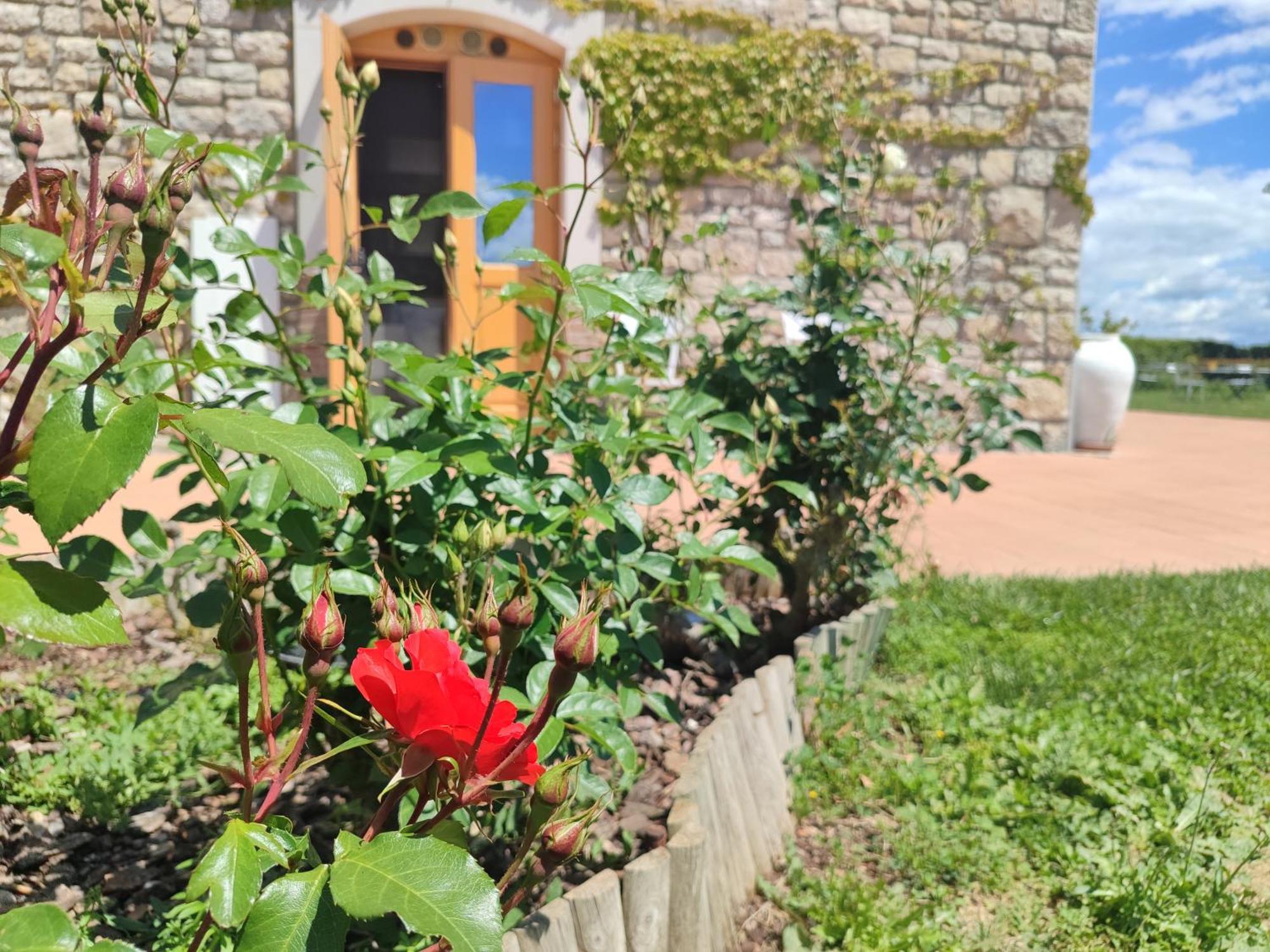 Masseria Fontana Dei Fieri ピエトレルチーナ エクステリア 写真