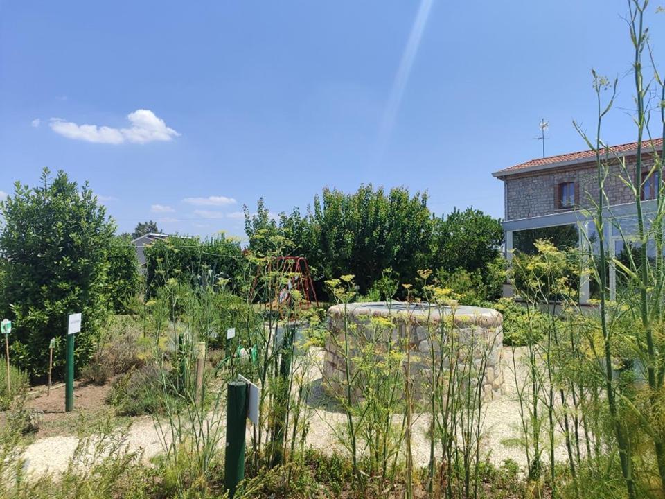 Masseria Fontana Dei Fieri ピエトレルチーナ エクステリア 写真