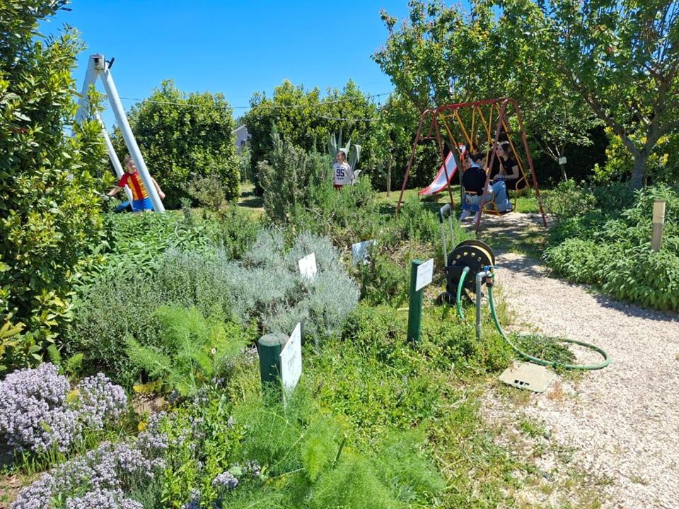 Masseria Fontana Dei Fieri ピエトレルチーナ エクステリア 写真