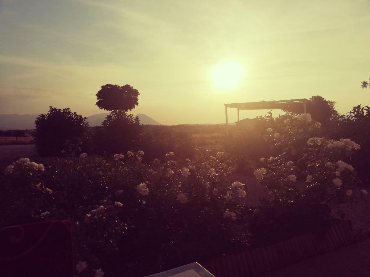 Masseria Fontana Dei Fieri ピエトレルチーナ エクステリア 写真