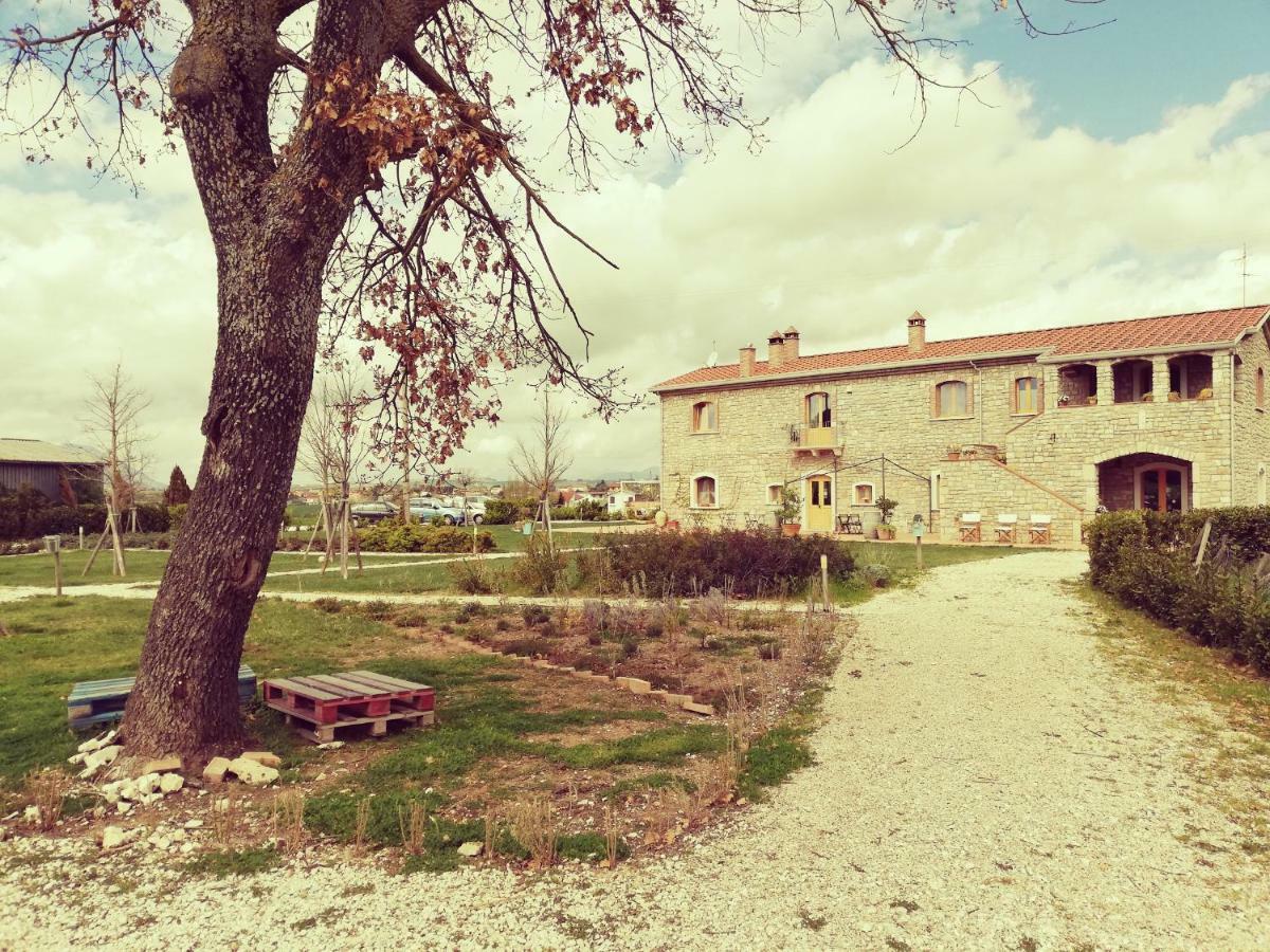Masseria Fontana Dei Fieri ピエトレルチーナ エクステリア 写真